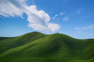 colline Toscane