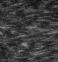texture of fur