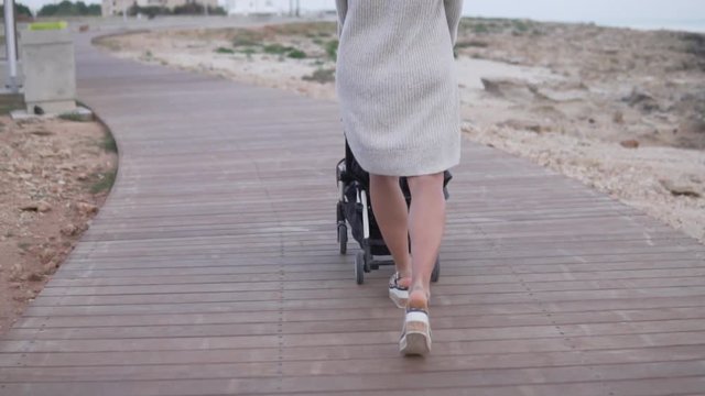 Mother walking with a pram in the par.