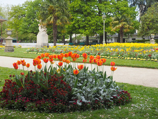 tulipes à Rennes