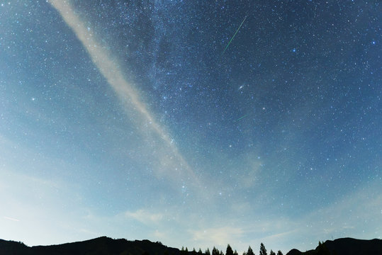 36 Best 地球外生命体 Images Stock Photos Vectors Adobe Stock