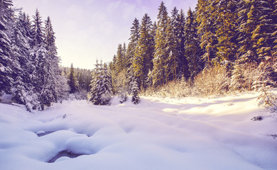 Beautiful winter landscape with snow covered trees under sunlight.