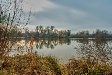 Am Bruchsee in Heppenheim