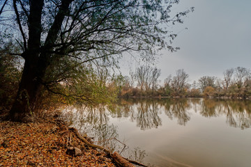 Am Bruchsee in Heppenheim