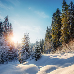 Wonderful Winter Landscape with Perfect Sky at Sunny Day.