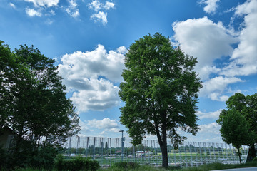 Blick vom Weinberg in Heppenheim