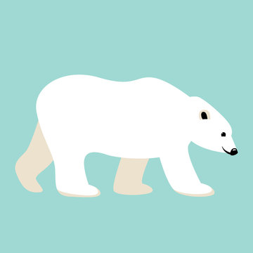 polar bear , vector illustration,flat style,profile