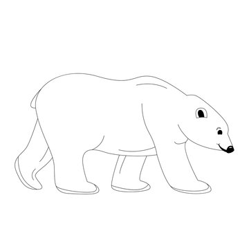 polar bear , vector illustration,lining draw,profile