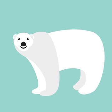 polar bear , vector illustration,flat style,profile
