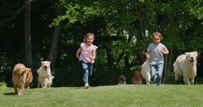 Slow motion of two little girls are running together with a group of playful pedigreed Golden Retriever dogs in a green park towards the camera.