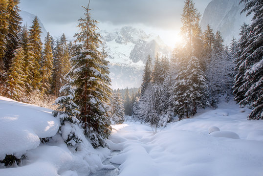Majestic Mountain Winter Landscape. Breathtaking Alpine Highlands in Sunny Day. impressively beautiful Winter Forest under Sunlight. Inscredible Wintry Scene. Picture of wild area. Postcard.