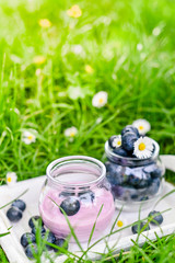 Yogurt in a jar and fresh blueberries on green grass with white flowers. Sunlight and photo effects. Copy space.