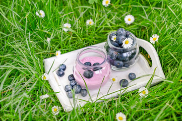 Yogurt in a jar and fresh blueberries on green grass with white flowers. Eco products in nature. Copy space.