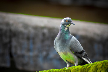 Nature beauty with a perfect landscape with my Nikon D3400.