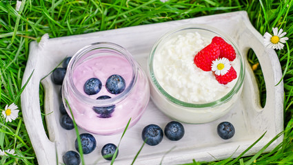 Yogurt and blueberries and raspberries in the garden on the green young grass. Farm cottage cheese and yogurt. Copy space.