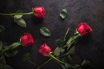 Messy Red roses and leaves on black wood background
