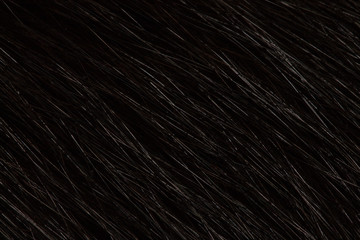 Cat hair/fur macro photo with basic editing 