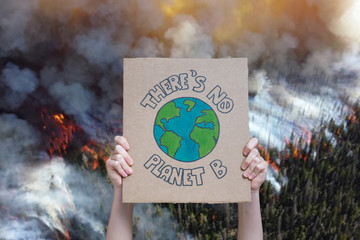 Climate change manifestation poster on a forest burning background: there is no planet b....
