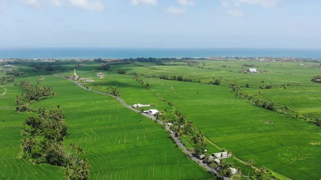 aerial footage of rice fields in Bali