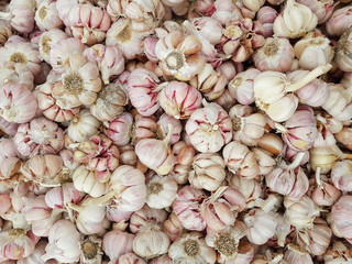 Garlic on the market