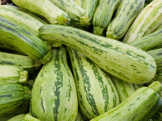 Closeup of Italian zucchini
