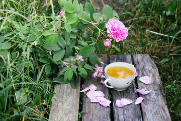 Tea-party in country style in summer garden in the village. Vintage cup of green herbal tea on weathered wooden boards and blooming pink roses in sunlight.