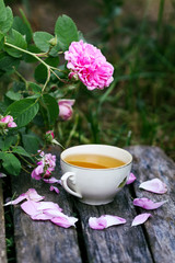 Tea in country style in summer garden in the village. Vintage cup of green herbal tea on weathered wooden boards and blooming pink roses in sunlight.