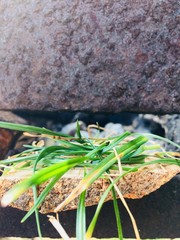 a portion of energy-each one's own!!!