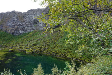 Fantastic Asbyrgi Canyon on Iceland with rocks, trees and beautiful landscape