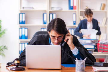 Two lawyers working in the office