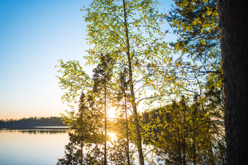 Obraz premium lakeside green sunset summer