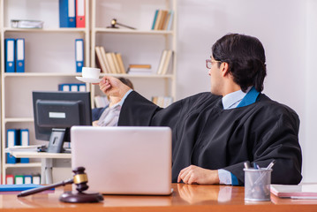 Two lawyers working in the office