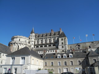 Fototapeta na wymiar Schloss Amboise an der Loire