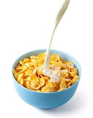 Cornflakes dry breakfast with milk. Stream of milk with cheese and splash pours into blue plate with cereal. Isolated on white background.