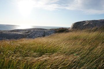 Smögen with beautiful landscape and sunset in Sweden
