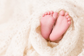 Feet of Newborn Baby, New Born Kid Legs in White Woolen Blanket
