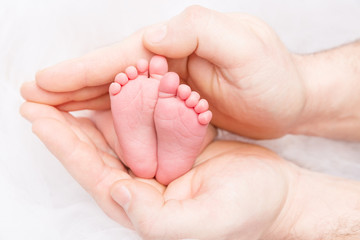 Obraz na płótnie Canvas Feet of Newborn Baby, Mother Holding New Born Kid Legs in Hand