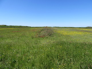 West coast of Guernsey 