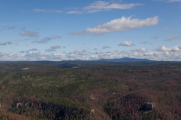 Aerial View of Pine Beetle Infestation