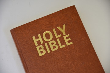  Holy Bible