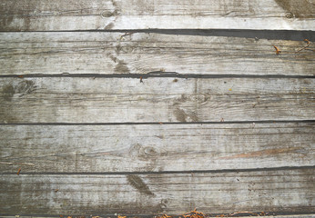 Old wooden panel texture natural background.