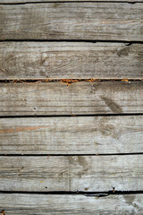 Fototapeta premium Old wooden panel texture natural background.