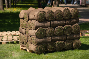 Pallet with stacked rolls of lawn on the background of the city Park