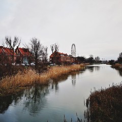 Landscape with river and trees