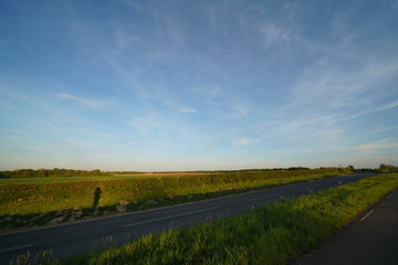 landscape with road