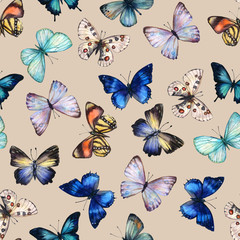 Fototapeta na wymiar Watercolor butterfly seamless pattern hand drawn texture