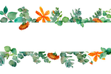 Watercolor banner of the branches and leaves of green eucalyptus, Chinese belamacanda flowers and orange calendula isolated on white background. Color illustrations for your projects, greeting cards 