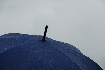 sous le parapluie