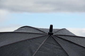 apres la pluie...