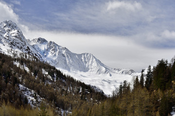 Fototapeta na wymiar Disgrazia mountain with its hanging glacier